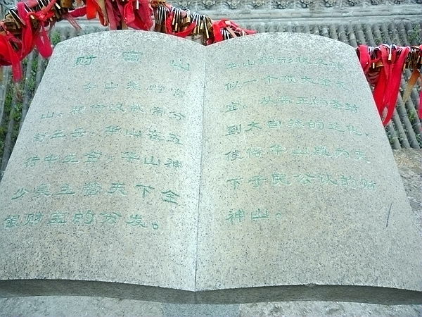 p1190383_.jpg