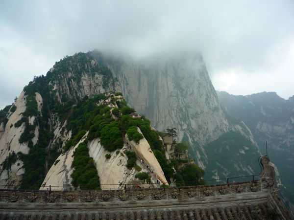 p1190383_.jpg