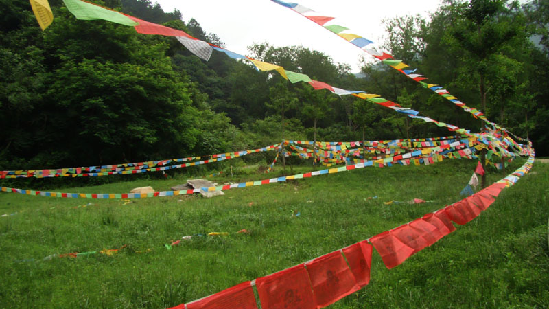 dsc02168.jpg