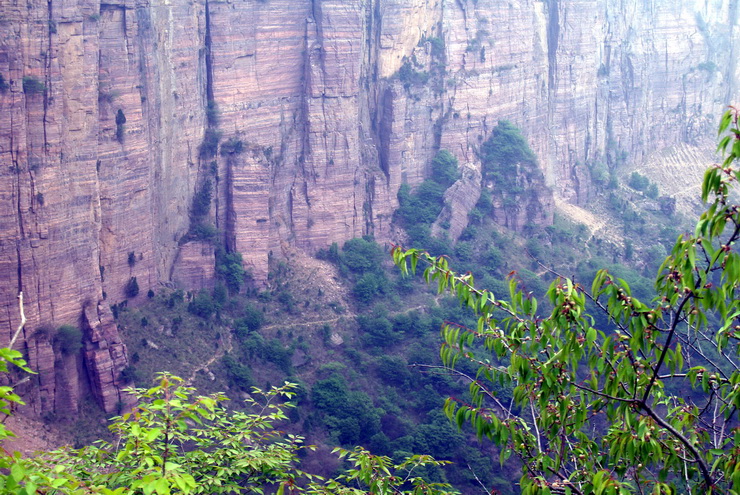 p5078056.jpg