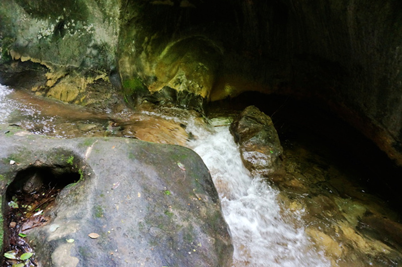 dsc01992_.jpg