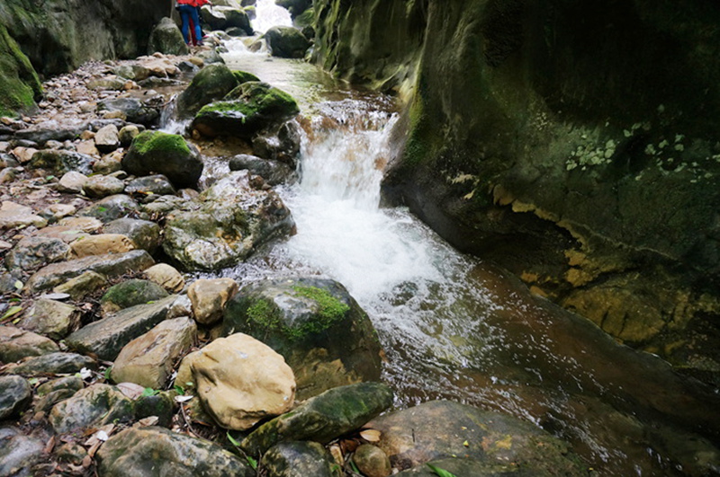 dsc01993_.jpg