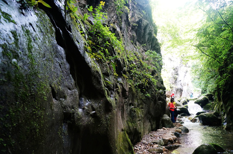 dsc01995_.jpg