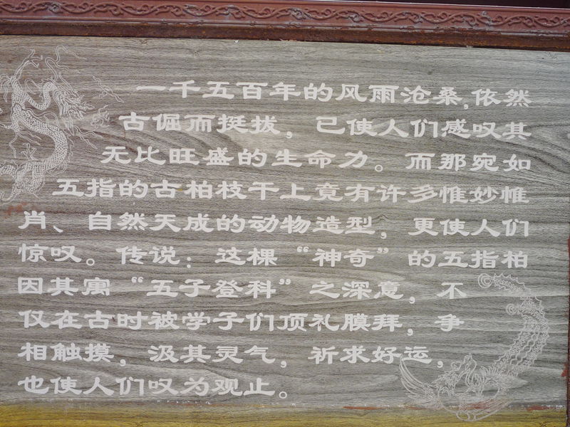 p1190383_.jpg
