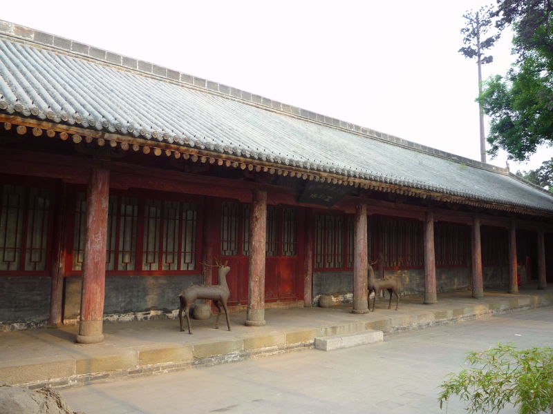 p1190383_.jpg