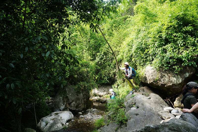 dsc02070_.jpg
