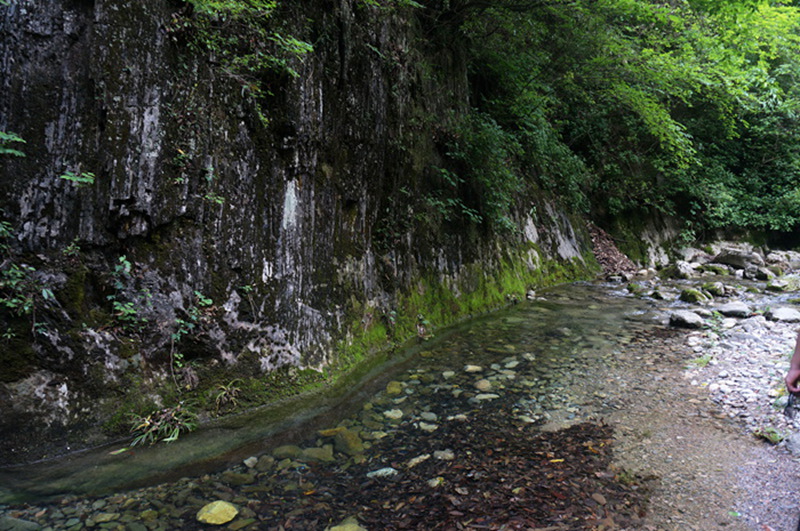dsc02087_.jpg