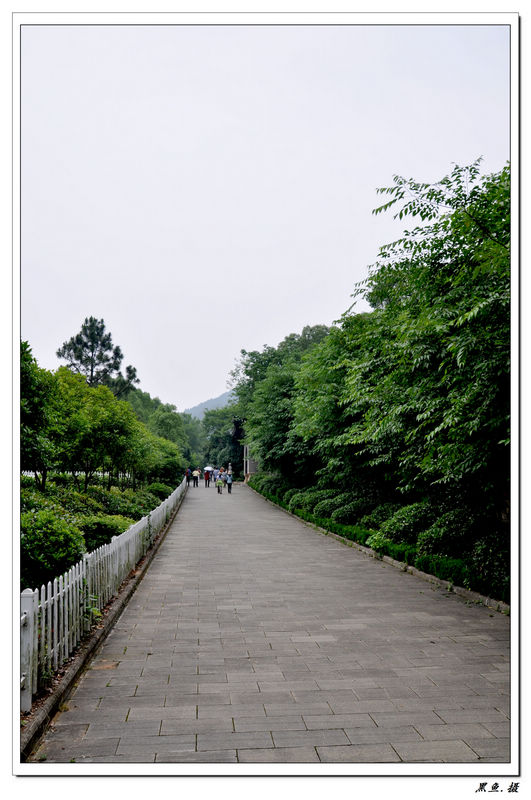 Ȫɽ羰 (55).jpg