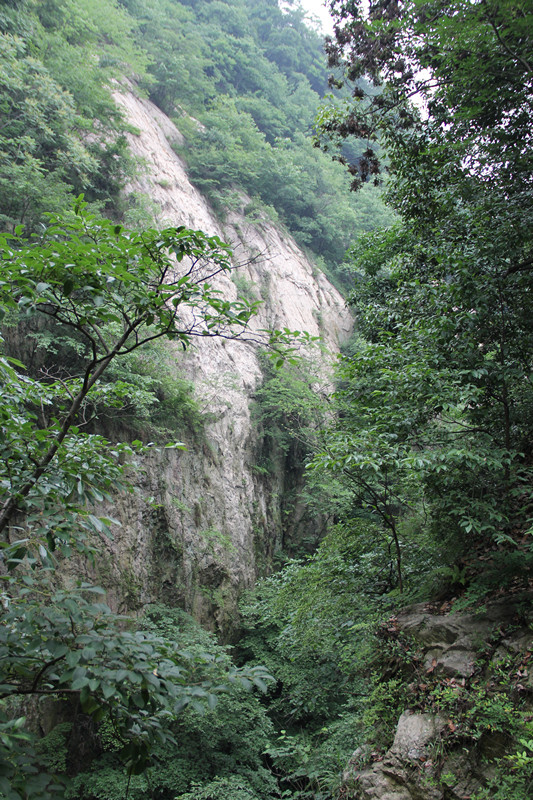 img_2991_.jpg
