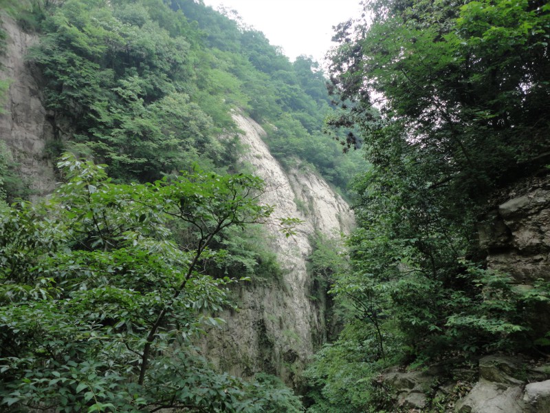 psbcadhw43y.jpg