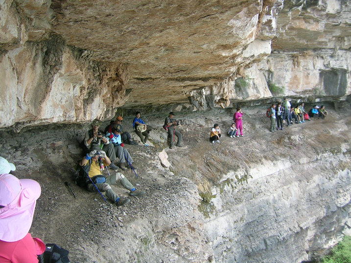 65.jpg