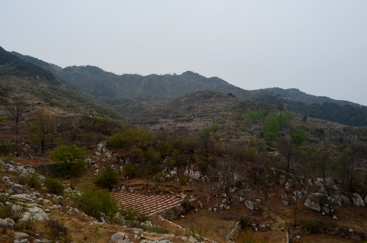 dsc_0666.jpg
