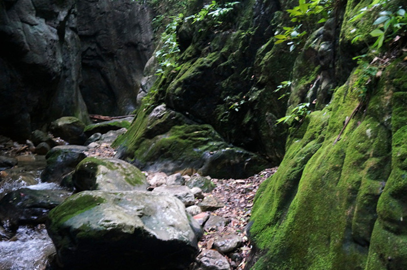dsc02102_.jpg