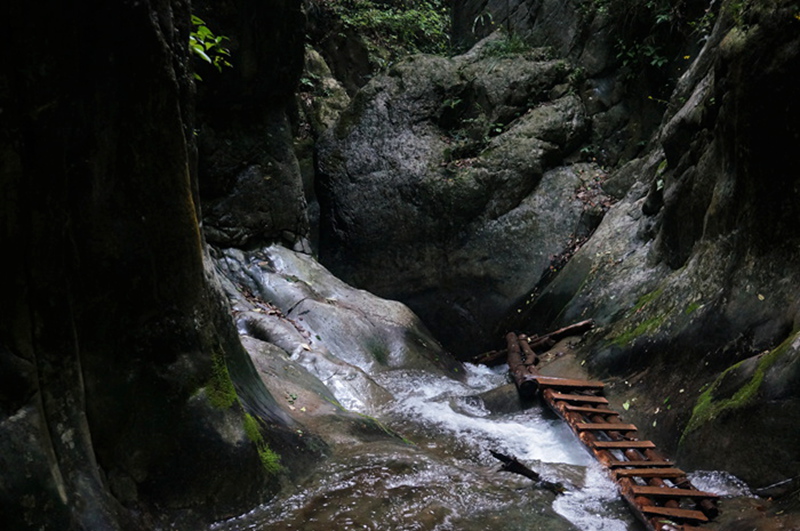 dsc02111_.jpg