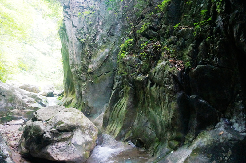 dsc02115_.jpg