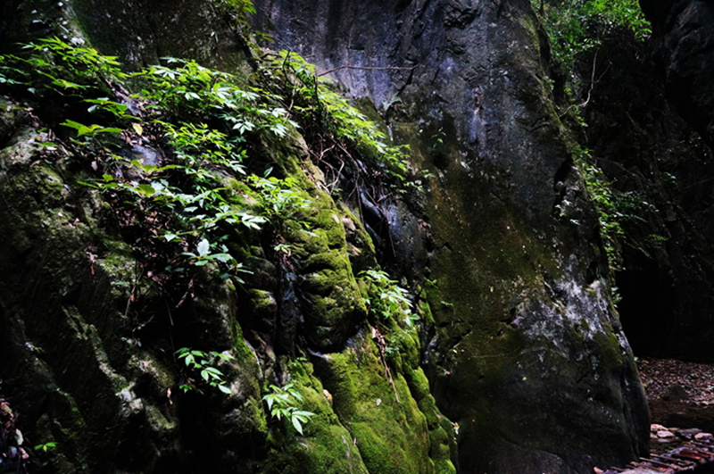 dsc02127_.jpg