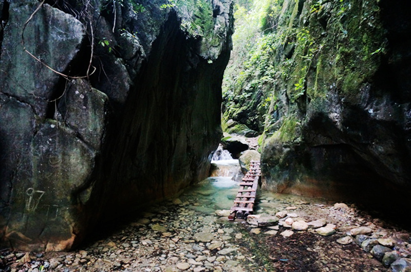 dsc02129_.jpg