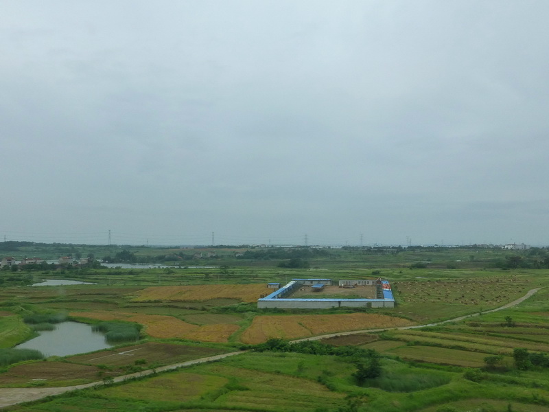 p1070245.jpg