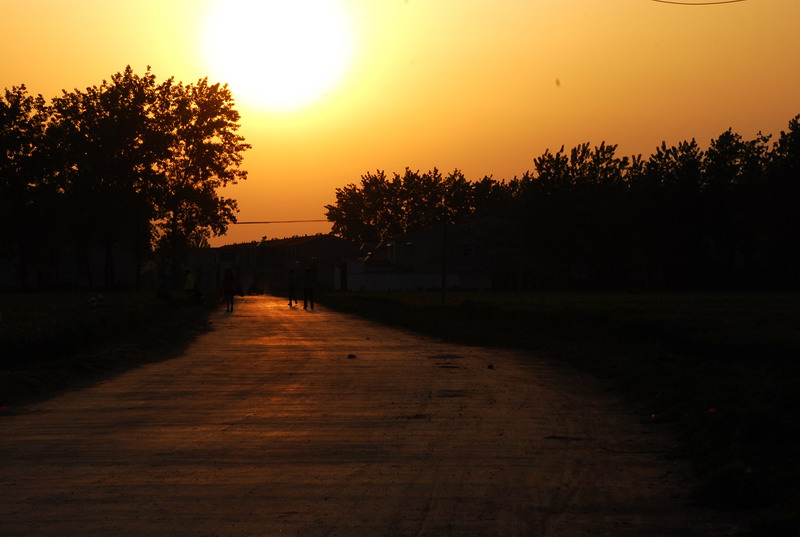 dsc_9309.jpg