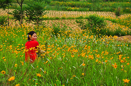 dsc_0176__.jpg