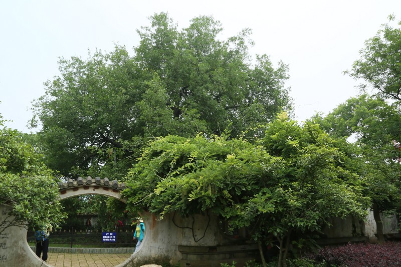do3a7765_Ŀѹ.jpg