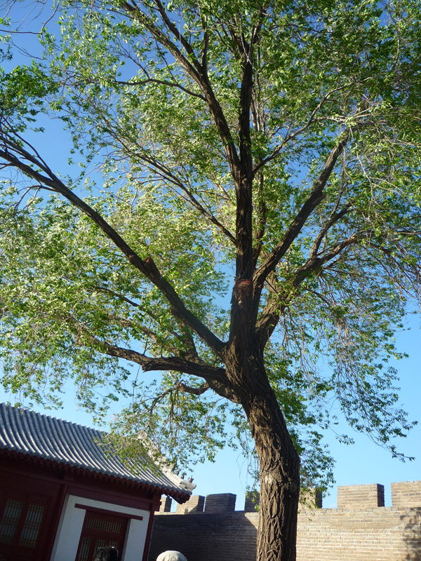 p1190383_.jpg