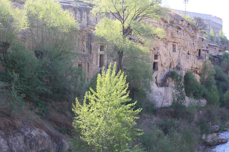 p1190383_.jpg