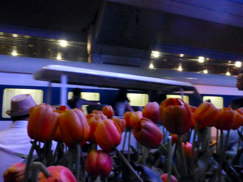 p1070271.jpg