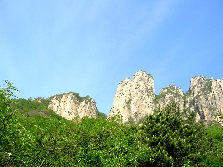 78.jpg
