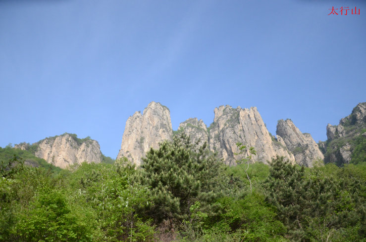 95.jpg