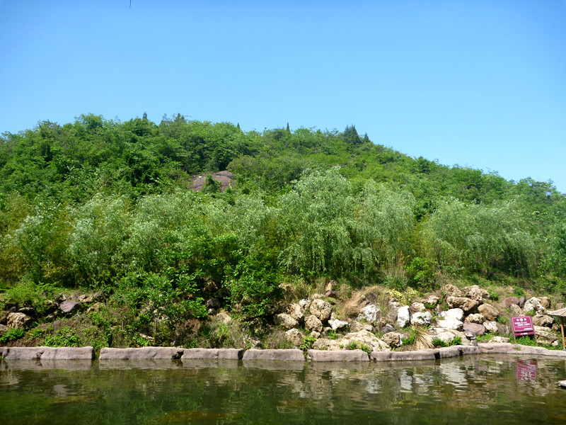 p1140906_.jpg