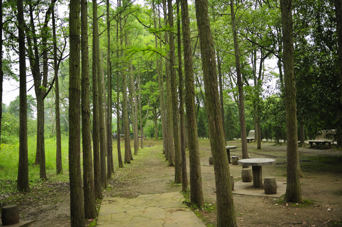 _dsc9982.jpg