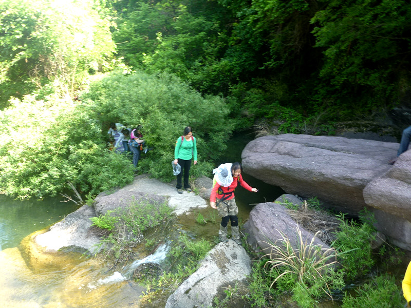 p1140919_.jpg