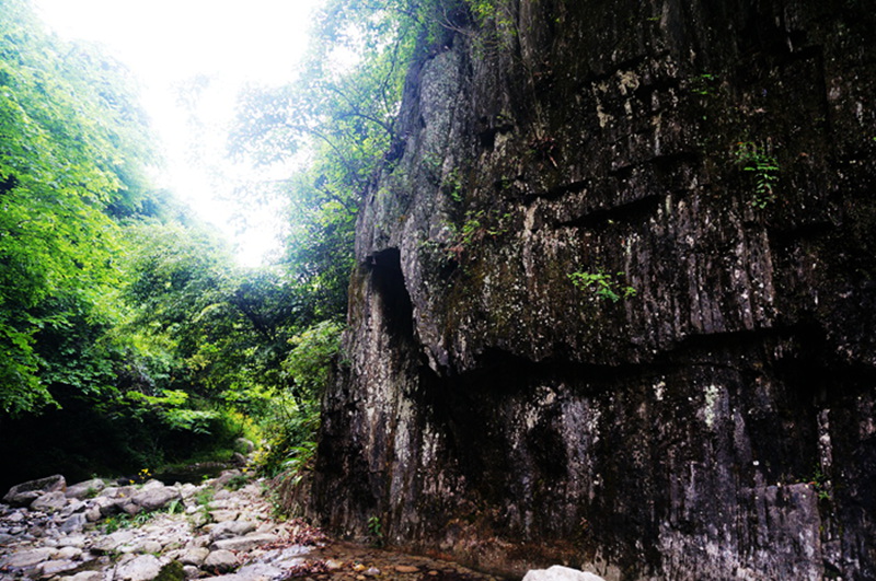dsc02132_.jpg