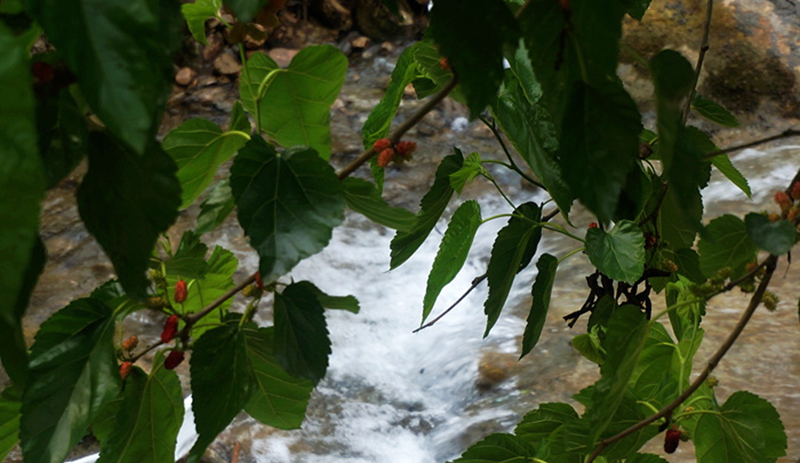 dsc02144_.jpg
