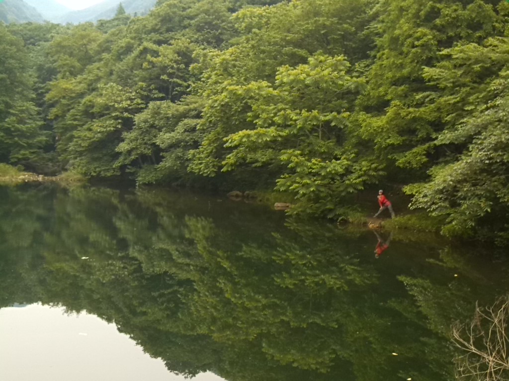 img_20130519_094127.jpg