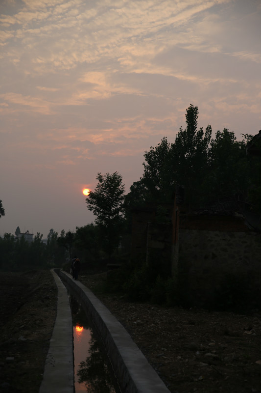 800.jpg