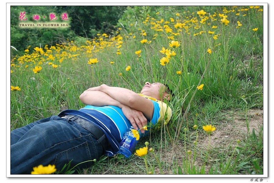 dsc_5108_neo_img_neo_img.jpg