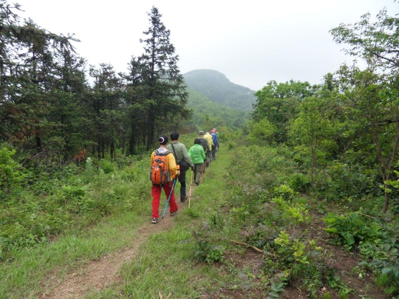 sdc18154.jpg