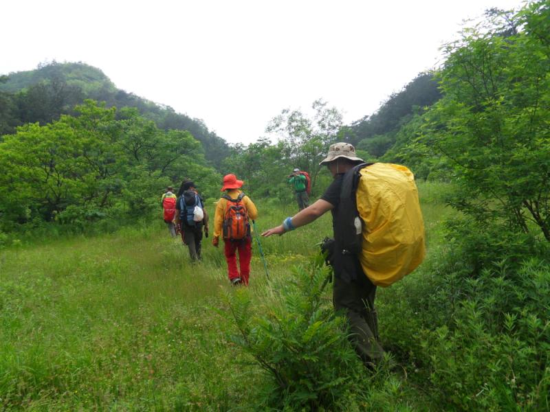 sdc18172.jpg
