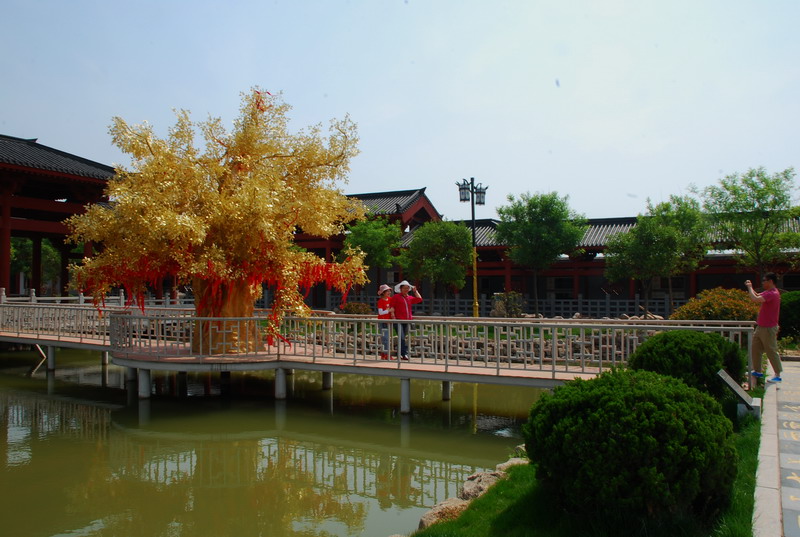 dsc_9489.jpg