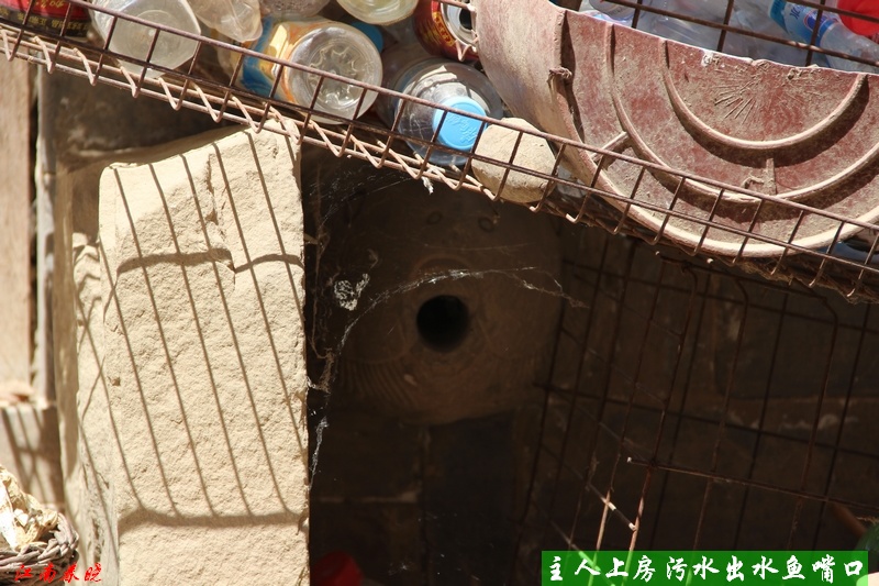 neo_img_ 599.jpg