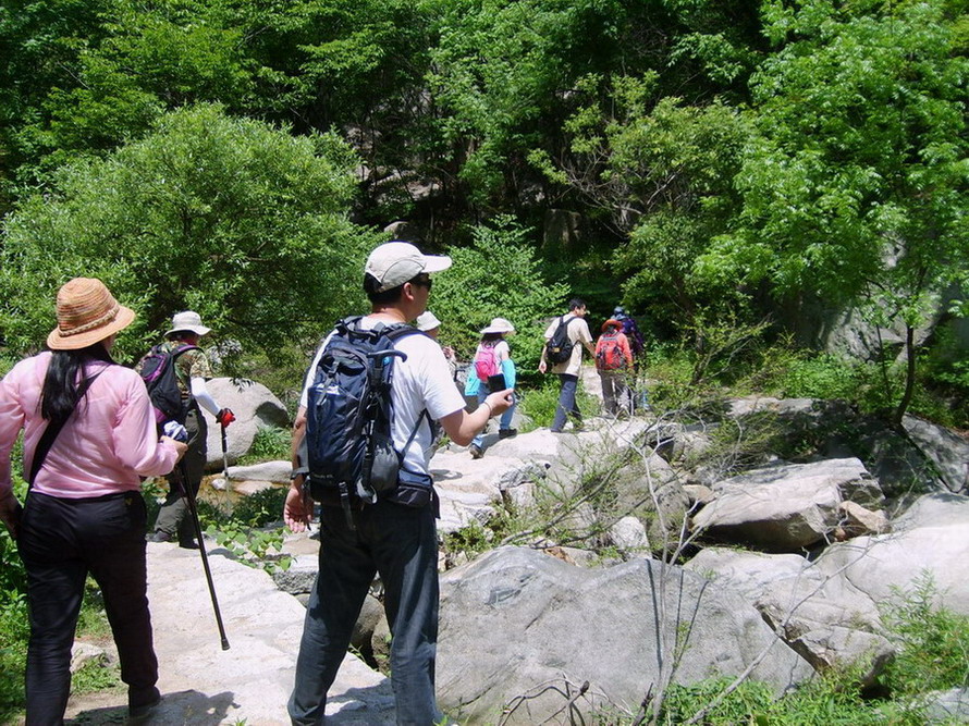 s5000567.jpg