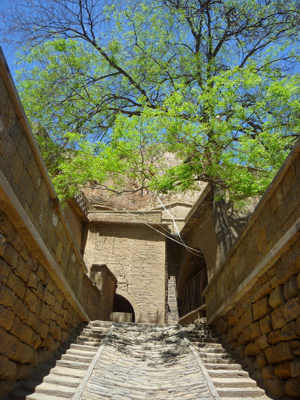 p1190383_.jpg