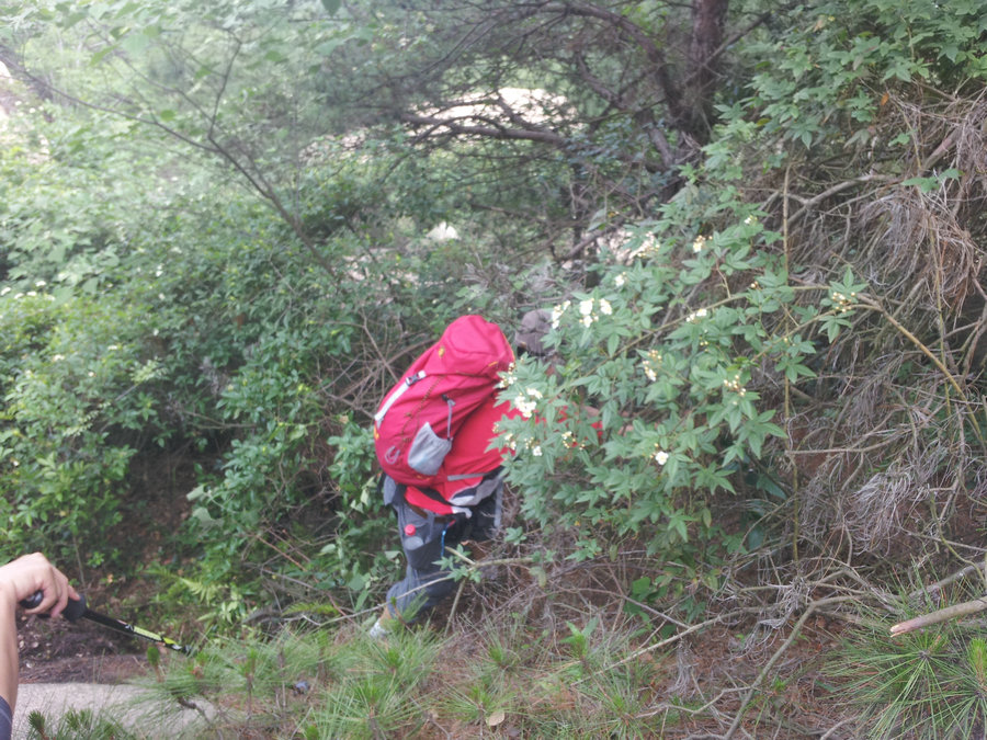20130519_144302.jpg