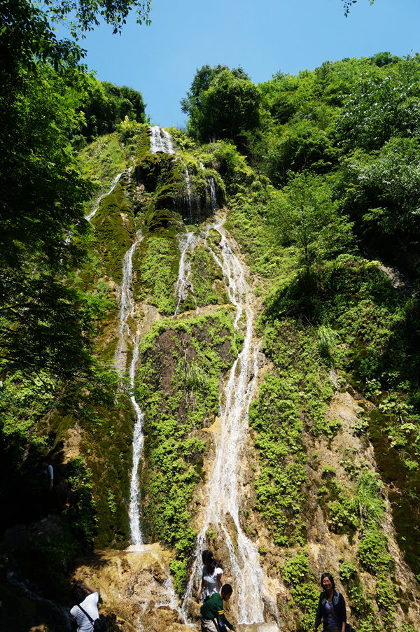 dsc02238_.jpg
