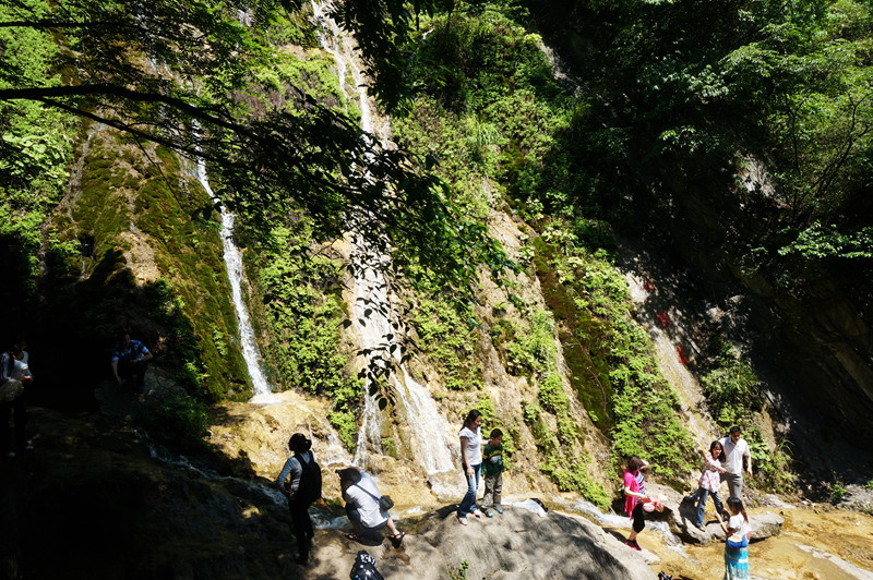dsc02237_.jpg