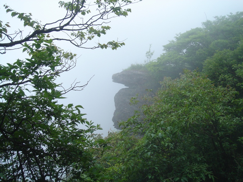 dsc05363.jpg1.jpg