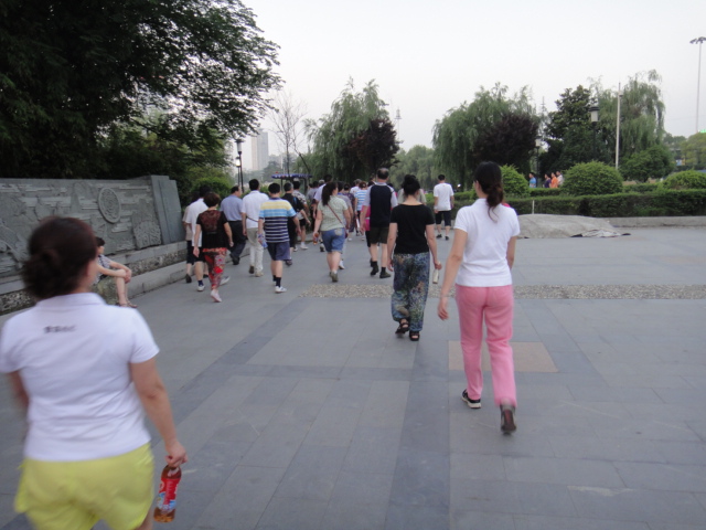 dsc00161.jpg