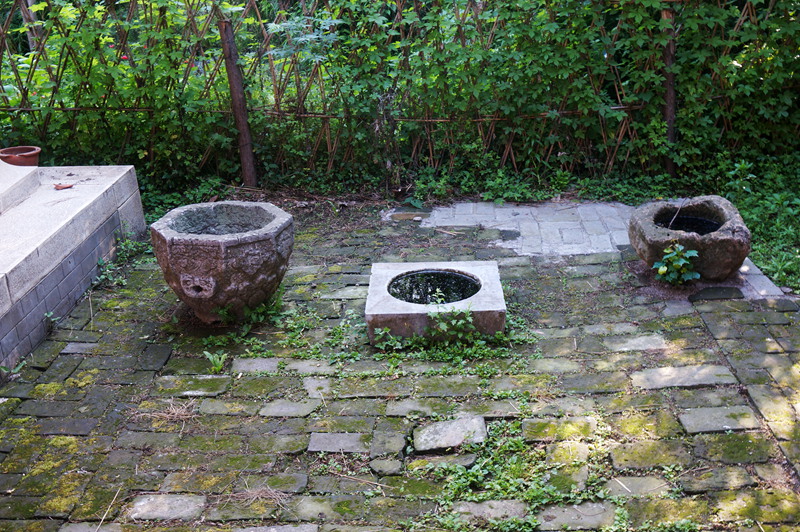 dsc02188_.jpg